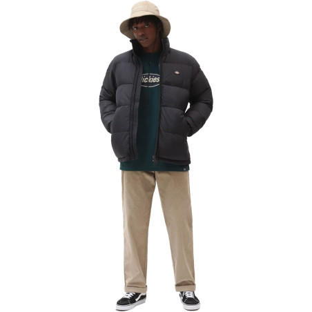 GIUBBOTTO Dickies DK0A4XP20000000