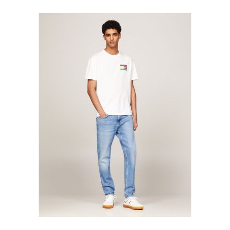 JEANS Tommy Hilfiger DM0DM1934600000