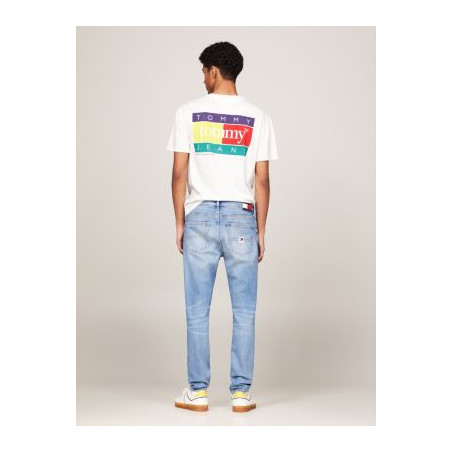 JEANS Tommy Hilfiger DM0DM1934600000