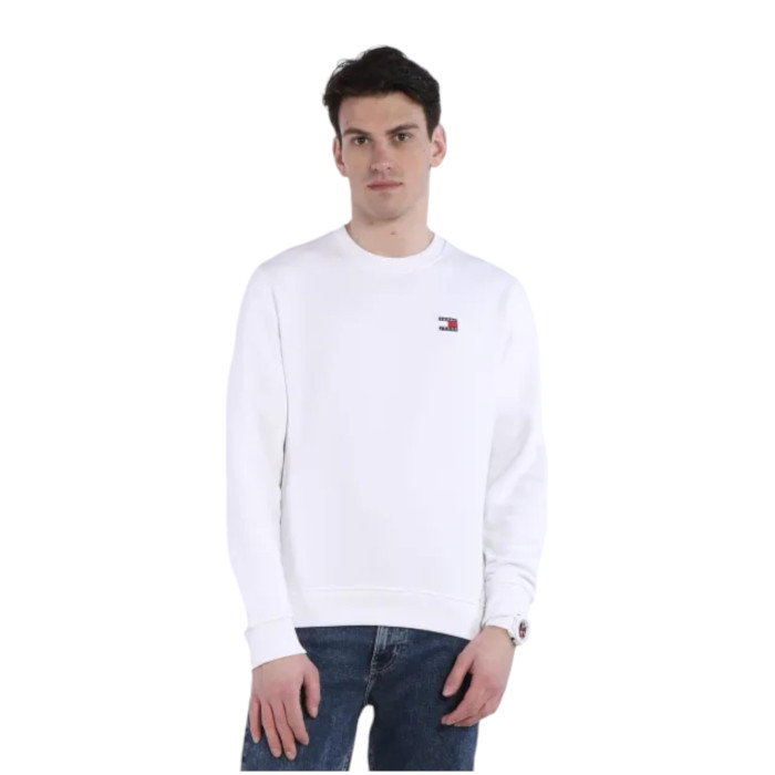 FELPA Tommy Hilfiger DM0DM1798600000