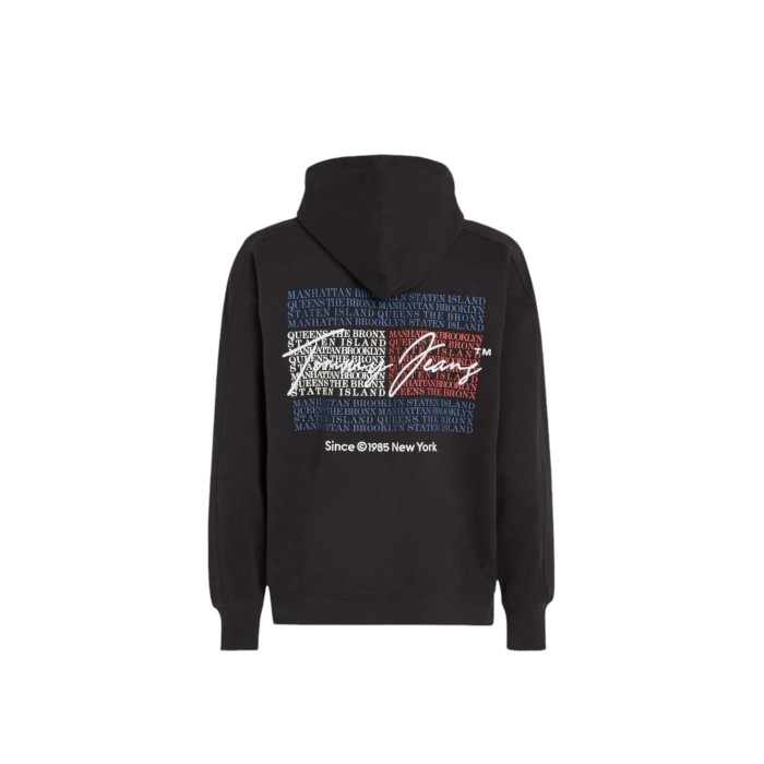 FELPA Tommy Hilfiger DM0DM1923900000