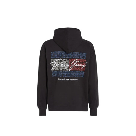 FELPA Tommy Hilfiger DM0DM1923900000